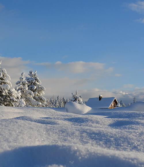 Hotel Dunza - Winter